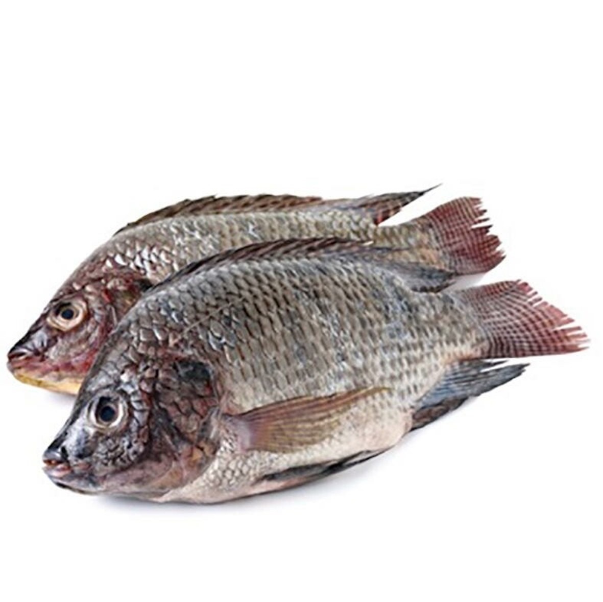 Imported food product 74