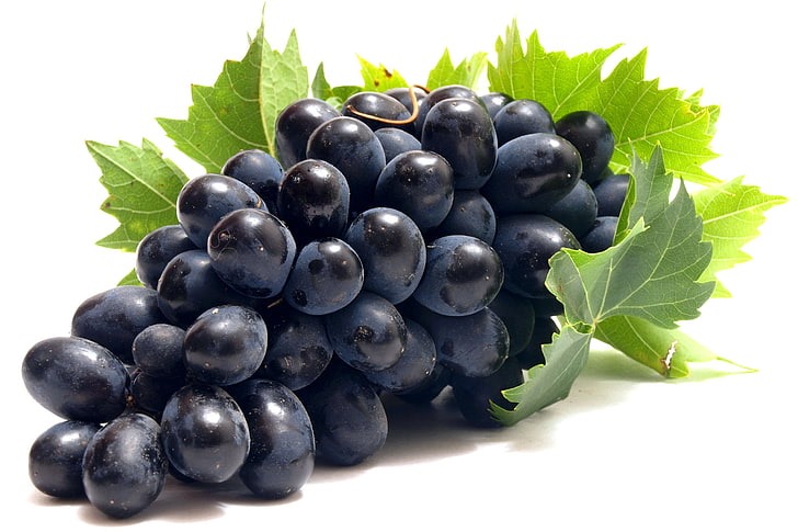 Imported food product 8