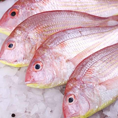 Imported food product 81